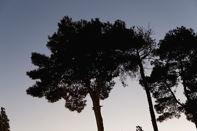 Yazd-Jardin Dolat Abad-021